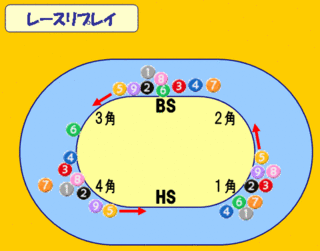 20100623r_45_9r.gif